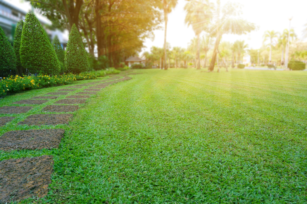 Pattern,Of,Laterite,Stepping,Stone,On,A,Green,Lawn,Backyard Landscaping and hardscaping services in nh and ma